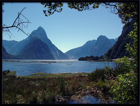 Milford Sound