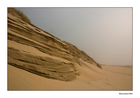 strandsculptuur