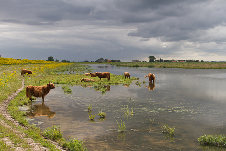 tiengemeten01.jpg