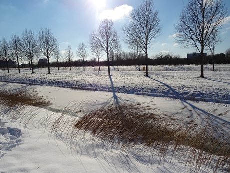 Heemskerk in de sneeuw.