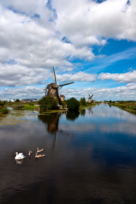 Kinderdijk