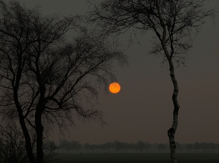 On The Way To Work II - Van  een maand geleden:
13/02/2008
Tussen Hoogezand en Veendam.


Dit is de zon! 
niet de maan.

Thanx voor de reactie's :) - foto door stanga op 15-03-2008 - deze foto bevat: stanga
