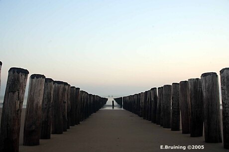 Infinity of wood