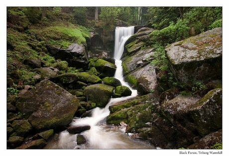 Triberg Waterval