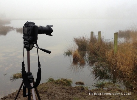 Foto in de mist