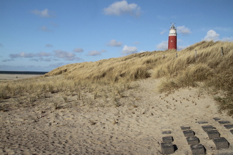 TeXeL 2013