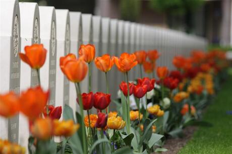 Grebbeberg 6 mei