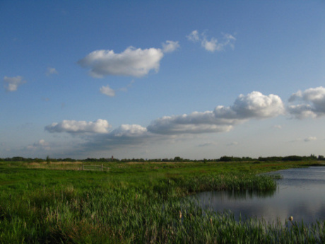 Cumulus humilis (Cl1)