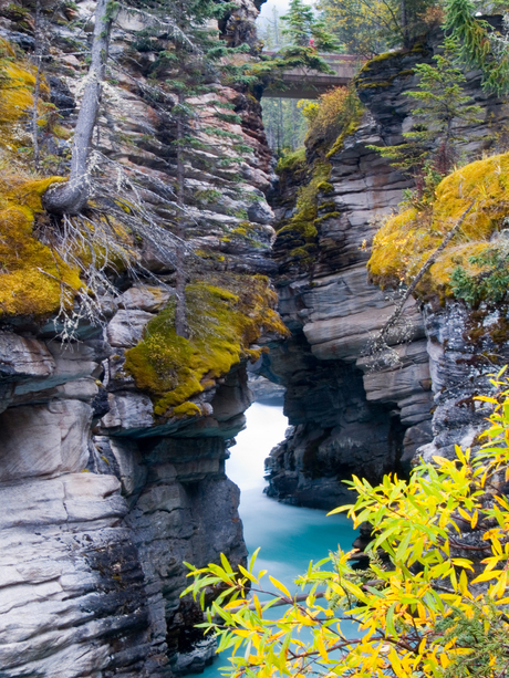 Athabasca Falls - British Columbia Canada