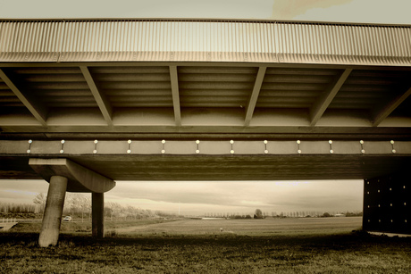 Under the bridge