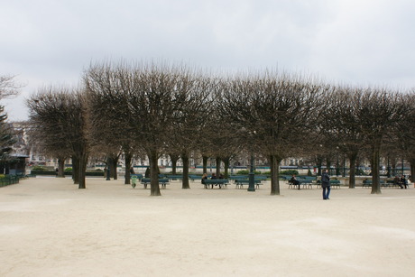 Park in white