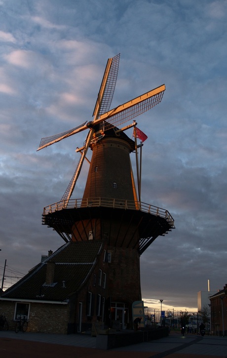 Molen de Roos Delft