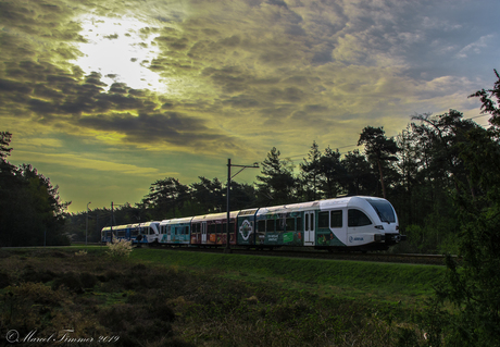 Vechtdallijn