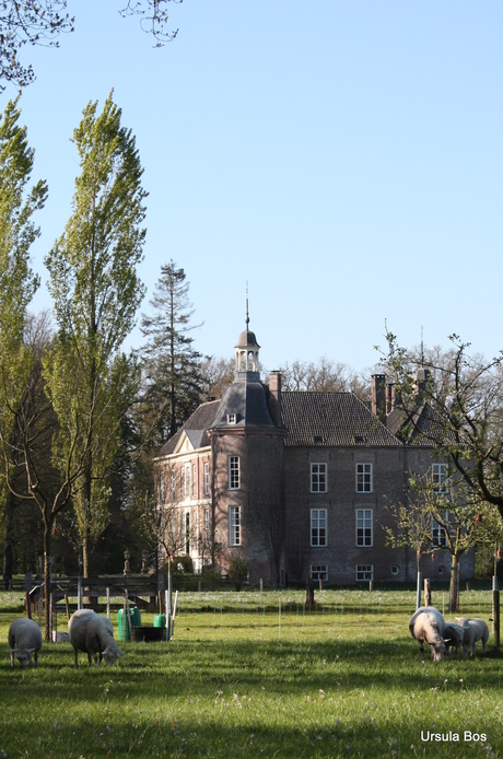 Lente om kasteel Hackfoort