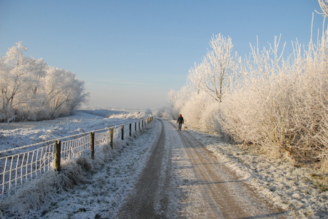 Walking in a WinterWonderland