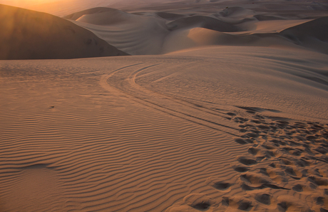 Sunset in the desert