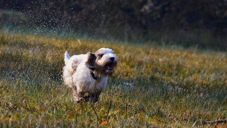 i like running and love to get wet