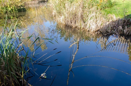 Spiegeltje, spiegeltje