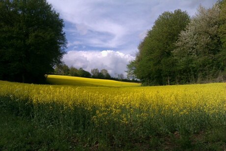 Mooi Limburg