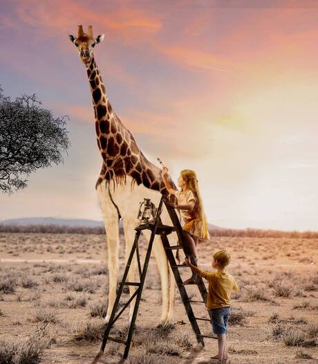 26755176_324027594770629_1954800659_n