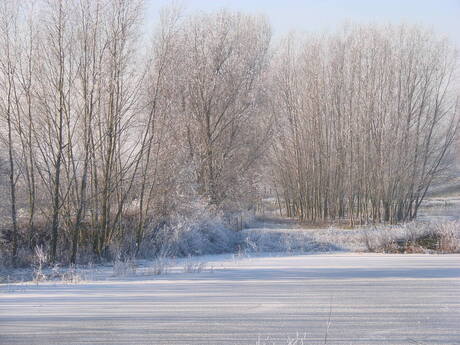 We hebben Sneeuw