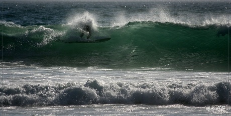 Surfen in de golven
