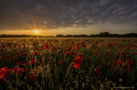 Zondagmorgen