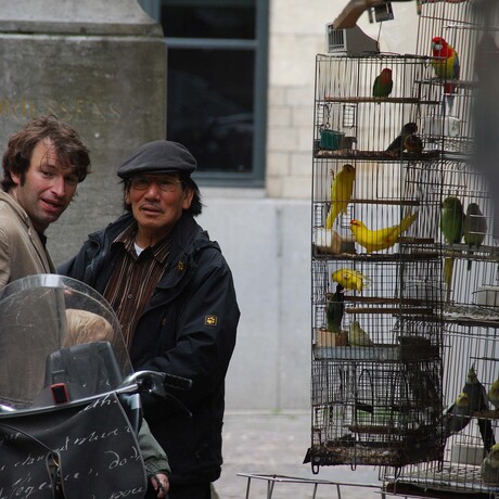 Vogeltjesmarkt Antwerpen