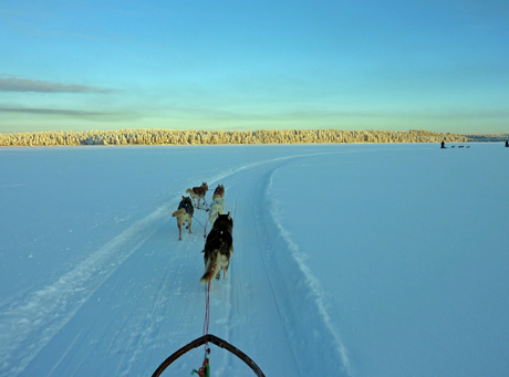 Lapland 2013.jpg