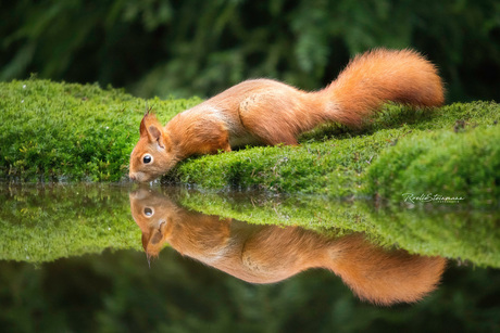 Spiegeltje spiegeltje