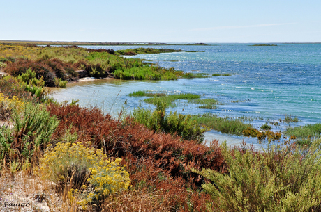 waterlandschap