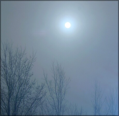 Zonsopkomst in de mist