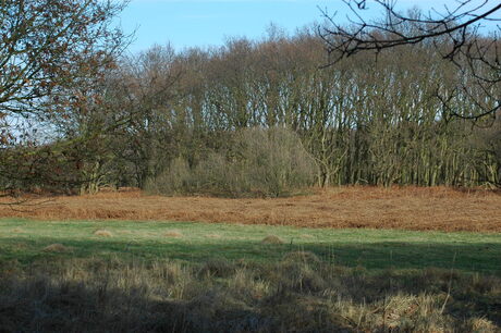 De Zilk Noordwijkerhout
