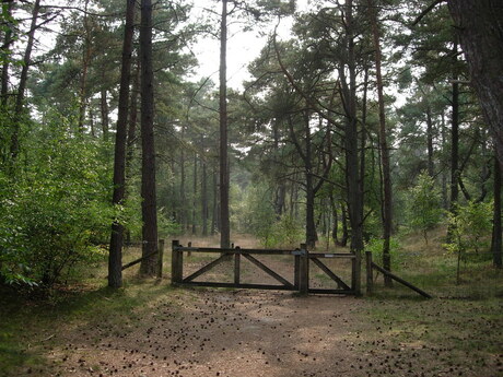 Hou de dieren buiten