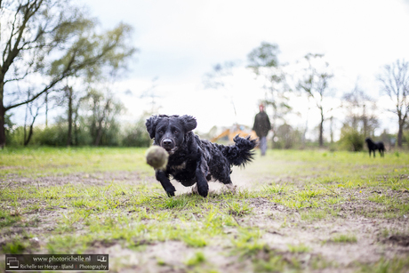 Puk in Actie!