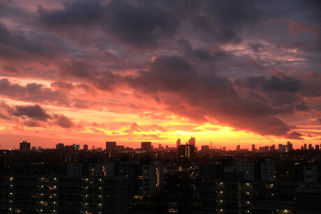 Red Sky over Rotterdam