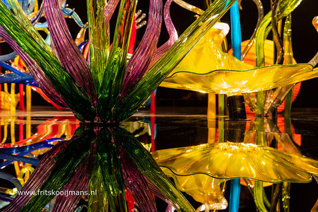 Expositie Chihuly in Groninger museum