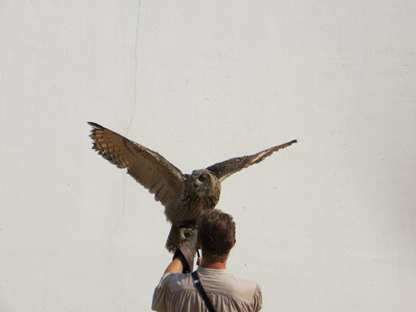 Vogelshow Archeon 2013