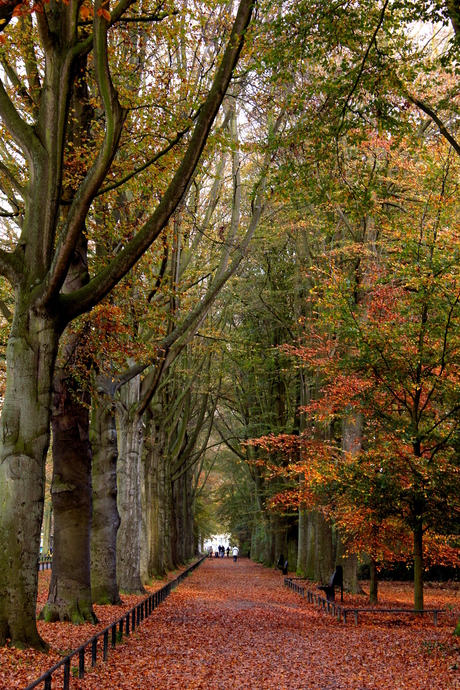 Herfstlaan