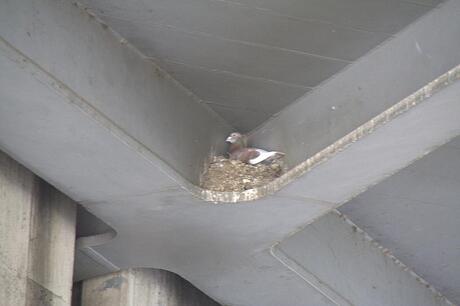 Bouwwerk in een bouwwerk