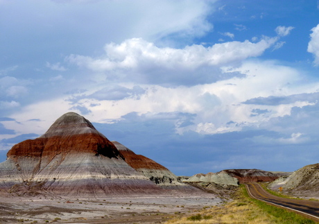 Petrified Forest