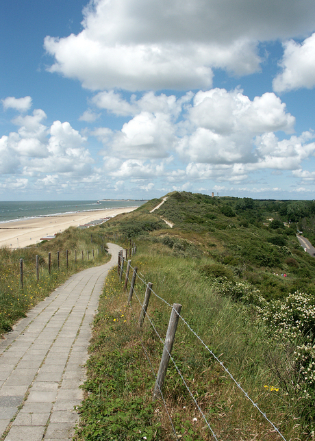 Duinen