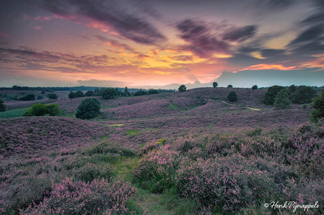 Little Purple Hills....