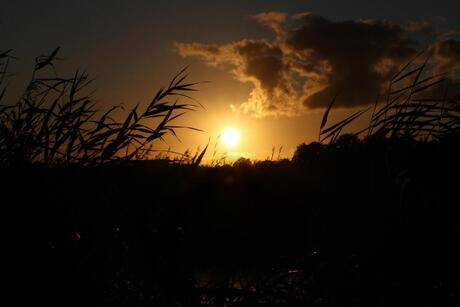 Zonsondergang in de Groningse polder