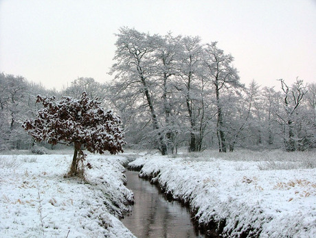 Winter in Drenthe