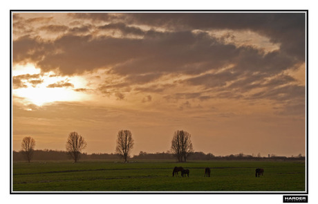 Lucht boven boerenland