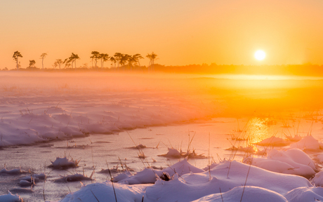 Kalmthoutse Heide