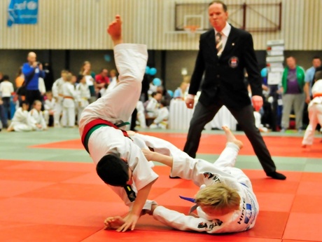 Mooi staaltje judo