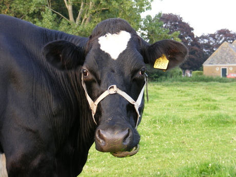 Kijk nou toch eens...