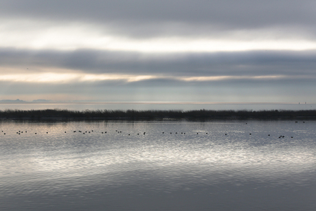 IJsselmeer